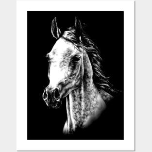 Arabian Horse Animal Portrait Posters and Art